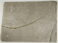 F 01446
<br/>
<br/>
<em></em>